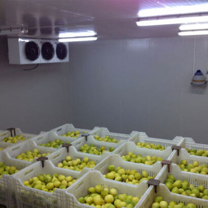 cold-storage-for-fruit-Vegetables